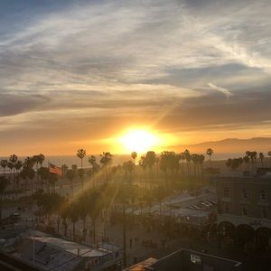 Meet your Posher, Lily